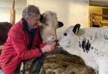 „Stressfreie und regionale Schlachtung fördern“