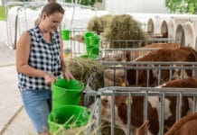 Dringender Aufholbedarf bei Kalbfleisch aus Tirol