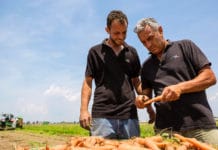 BASF verdaut Sonderbelastungen, Agrarsparte blieb positiv