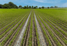 Lemken bringt Online-Konfigurator für die Sämaschine Azurit 9