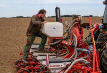 Mehr Soja, Rübe und Ölkürbis im Frühjahr