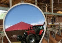 Erneuerbaren-Ausbau-Gesetz im Ministerrat beschlossen