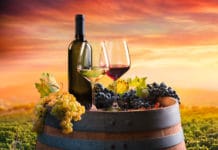 2020: Weinexport-Rekord trotz Corona