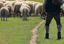 „Bauern betreiben bereits Herdenschutz“