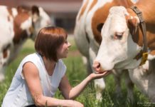 Hagel-Webinar: Unser Grünland ist systemrelevant