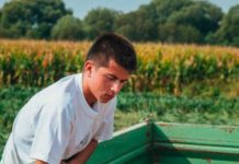 Raphael Kaufmann: Sorghumhirse passt ideal zu Mais