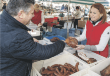 Praxisferner Plan der EU