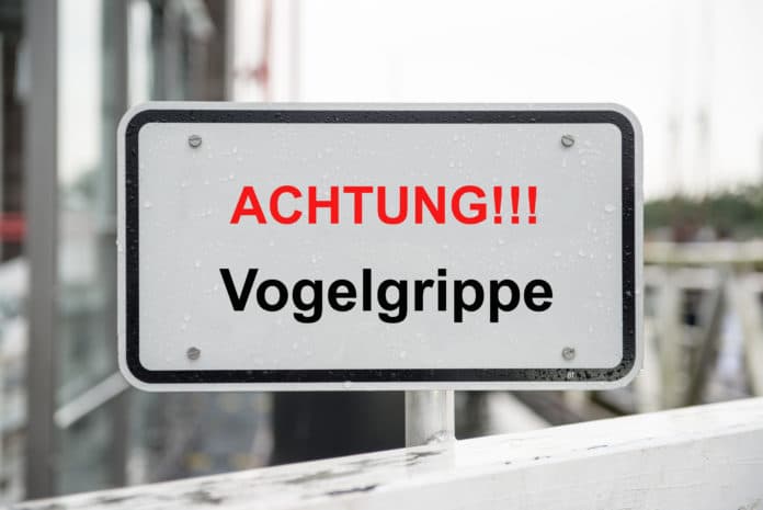 Achtung Schild Vogelgrippe