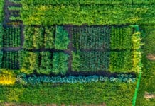 Neue Webinar-Reihe “Ideenacker” startet am 26. April