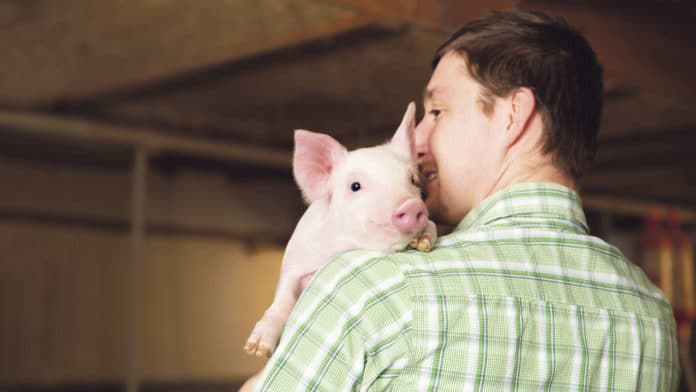 AdobeStock 249458124