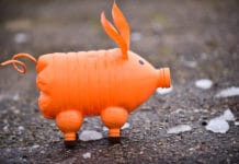 Müll wegwerfen muss für „Schweinderl“ teuer sein