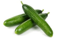 Bio-Importe lösen oft keine Probleme, sondern schaffen neue