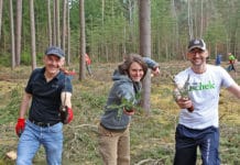 Betriebe schenken Arbeitszeit, um heimische Wälder zu retten Aktionstag