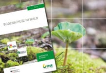 Bodenschutz im Wald: Broschüre gibt wichtige Tipps