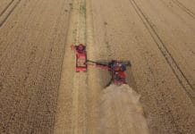 Immer schön auf der Spur bleiben