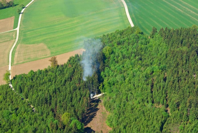 Feuer Im Wald 2 ID25292