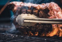 Heißes Eisen EU-Mercosur-Pakt: Vernichtendes Urteil über die Folgen