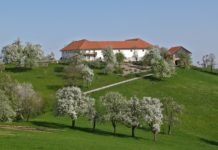 Streuobstwiesen prägen das Landschaftsbild