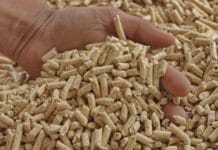 Pelletbranche verzeichnete 2020 neue Rekorde bei Produktion und Verbrauch