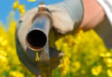 Rapsölkraftstoff zündet anders als Diesel