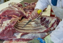 EU-Vorschlag zur Hof-Schlachtung: “Praxisnähe fehlt”