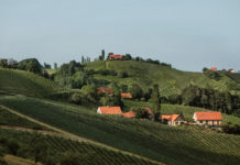 Sauvignon Blanc ist die neue Nummer 1