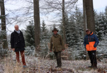 Nachhaltige Waldbewirtschaftung ist gut fürs Klima und die Artenvielfalt