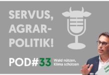 Strasser: „Wald außer Nutzung stellen, ist falscher Weg beim Klimaschutz“
