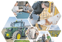 Florianer und Elmberger lernen in der Klasse, am Feld und im Stall