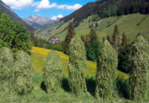 Arge Heumilch: Karl Neuhofer als Obmann bestätigt