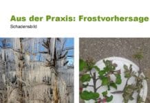 Hagelversicherung: Das Wetter wird schlechter, die Vorhersagen werden besser