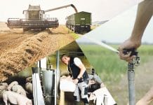 Webinar: Wie ist es um die künftige GAP bestellt?