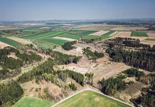 Großkalamität im Forst senkt den Einheitswert