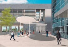 Neo-Minister Mückstein soll Herkunft rasch regeln