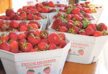 „Erdbeerfinder“ bringt die Kunden bis zum Feld