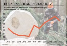 Holzboom – Waldbauern brauchen fairen Anteil an Wertschöpfungskette
