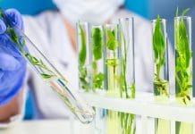 Was morgen auf die Teller kommt