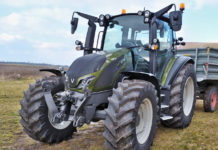 Tadellose äußere und innere Werte