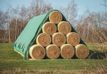 Unter Vlies statt unter Dach