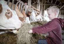 Endlich wieder einen Bauernhof besuchen Am und vom Bauernhof lernen endlich wieder möglich