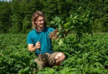 Innovativer Erdäpfelanbau