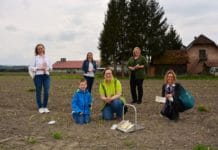 Wie „Zaubergemüse“ im Eferdinger Land wächst