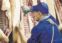 Große Schlachter werden in Krisenzeiten mächtiger