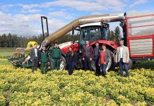 Vielfältiges Waldviertel Waldland