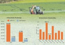 Ackerbau: Kein Feind der Biene