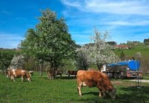 GAP-Begutachtung: Die Forderungen der Milchverarbeiter