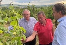 20 Mio. Euro Hagelschäden allein in der Landwirtschaft
