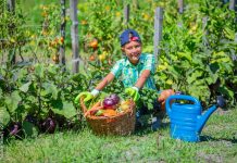 Genusscamps: Großes Erlebnis für kleine Chefs