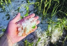 Hagelunwetter: Eiskalte Rechnung für das Spiel mit dem Feuer?