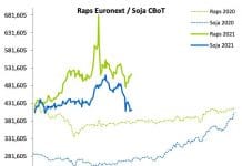 Terminmarkt International im Juni – Raps auf Erholungskurs, Weizen stagniert, Mais stabil